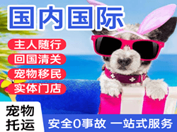 琼海博鳌机场空运国际宠物托运 【国